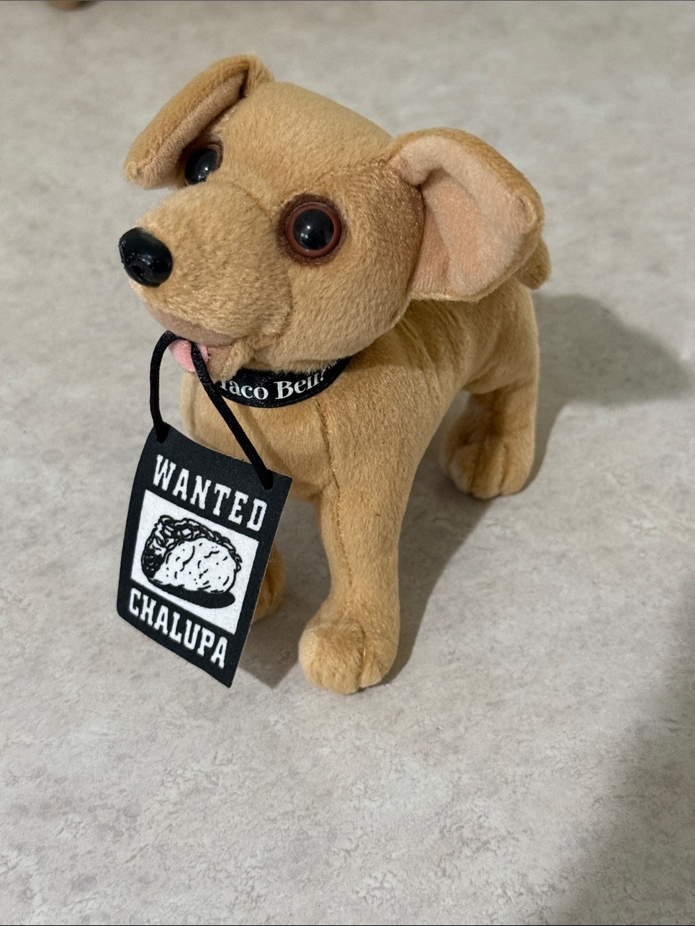 Taco Bell Singing Dog